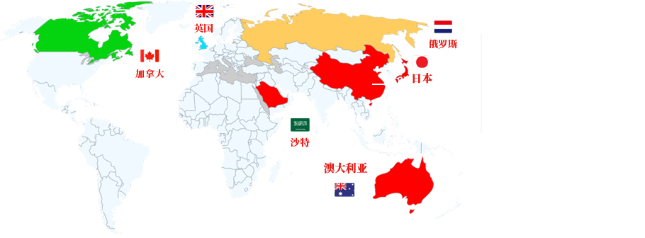 国际业务